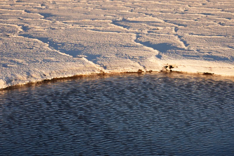 The boundary between a snow-covered ice sheet and open water, lit by low winter sun