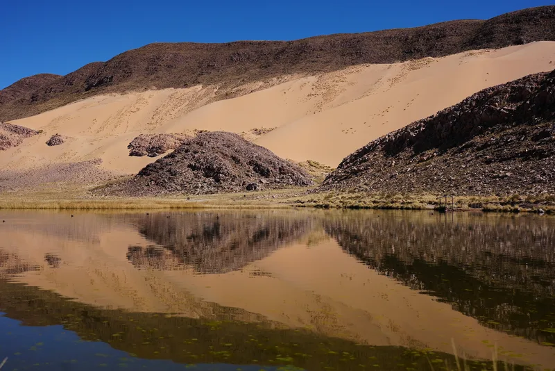 A high-altitude desert lagoon in the Andean altiplano, set against sand dunes and volcanic rock formations — most likely