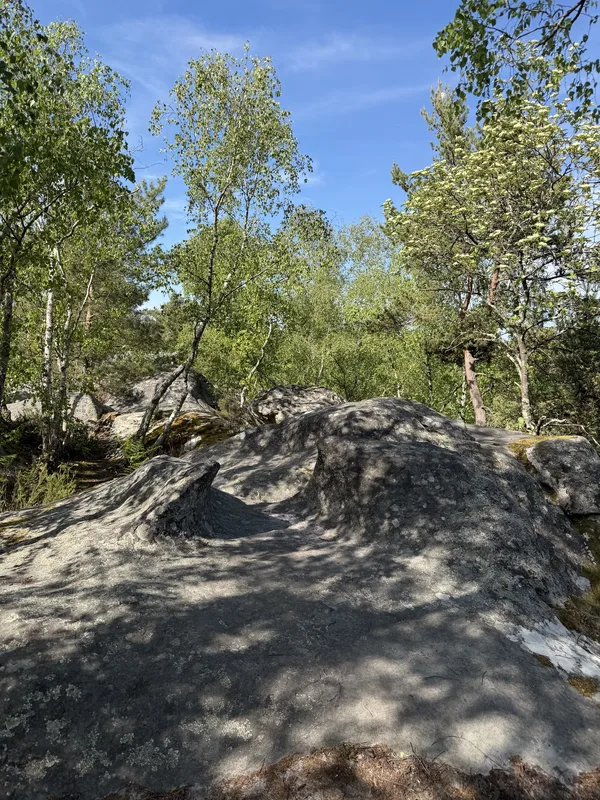 La Folie Barbizon