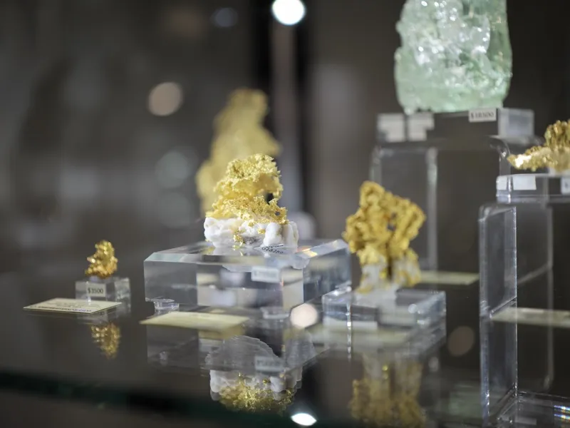 Native gold specimens and a green fluorite crystal displayed on acrylic risers in a commercial mineral gallery or high-e