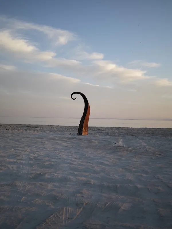 A single piece of driftwood or weathered wooden post, charred or darkened at the top into a spiral curl, standing uprigh