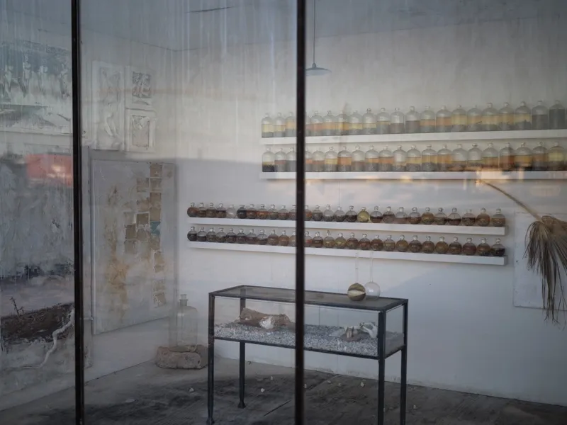 An art installation viewed through glass panels, consisting of rows of glass specimen jars on white shelves, a display c