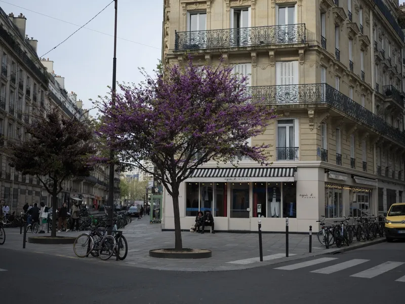 A Parisian street corner in spring, anchored by a Judas tree in full bloom, with two seated figures beneath it and an Ag