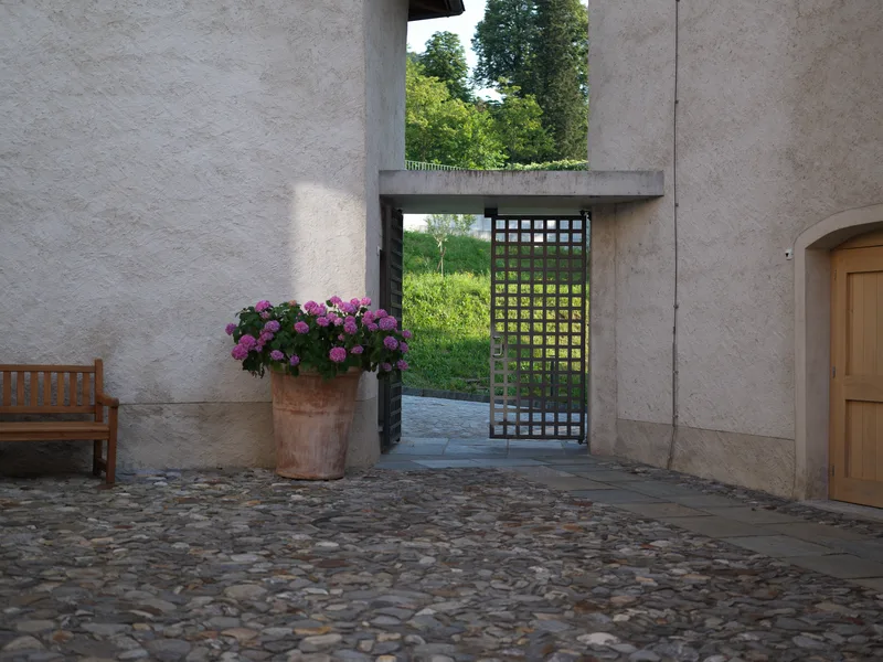 A gated passage through a stone wall, with a terracotta pot of pink hydrangeas placed before it, a wooden bench to the l